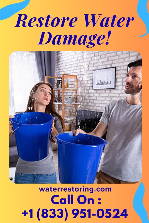 water restoration Crown Storm Damage Solutions Paris